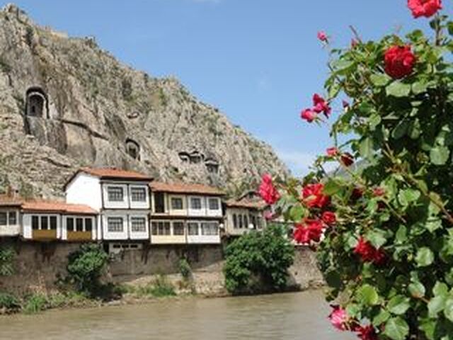 AMASYA TURU
